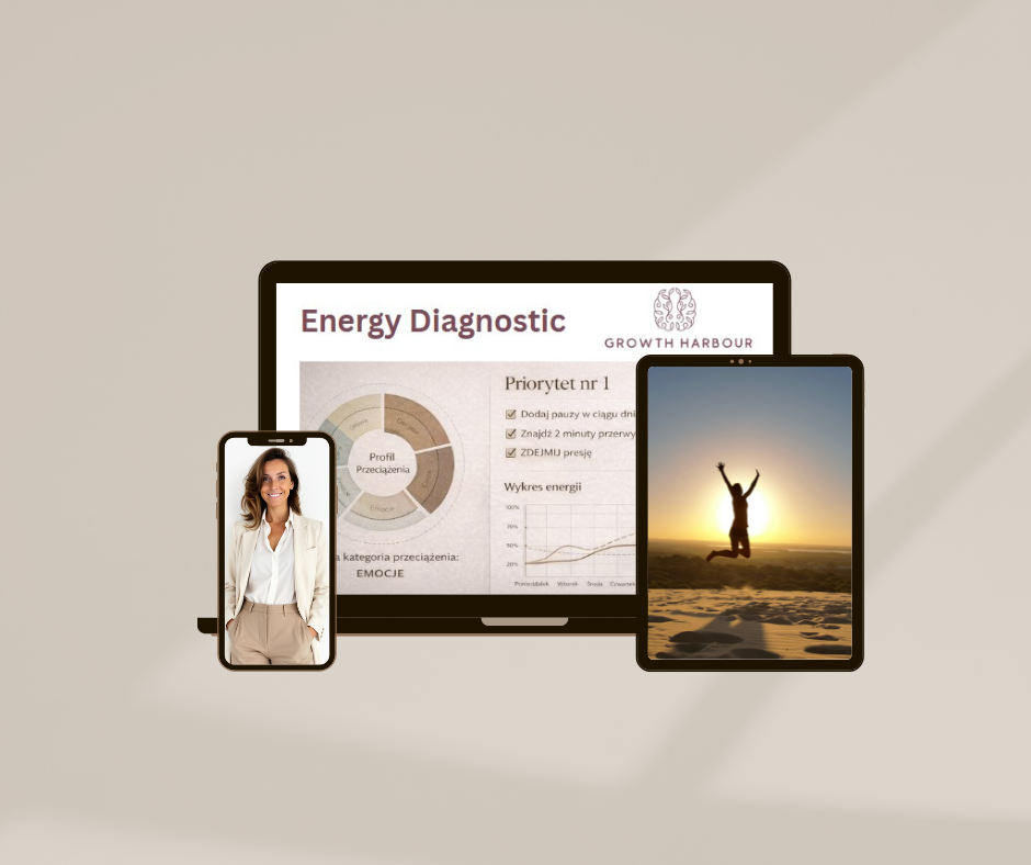 Diagnostyka Energii Mockup